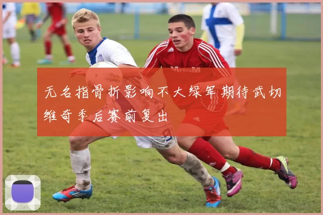 无名指骨折影响不大绿军期待武切维奇季后赛前复出