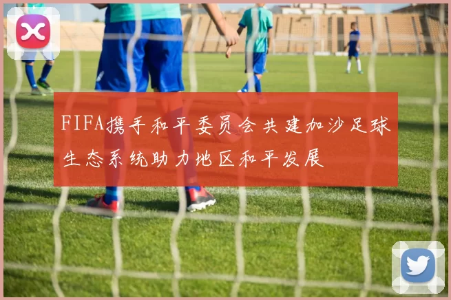 FIFA携手和平委员会共建加沙足球生态系统助力地区和平发展